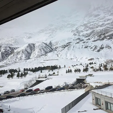 Piccolo Rododendro Q427 * Breuil-Cervinia