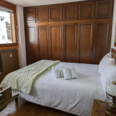 Piccolo Rododendro Q427 *